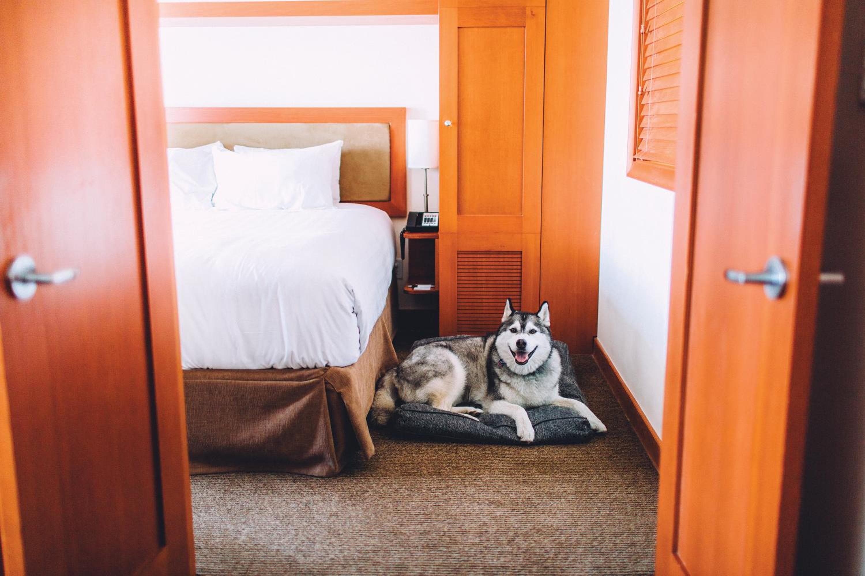 One Bedroom Upper Floor Suite