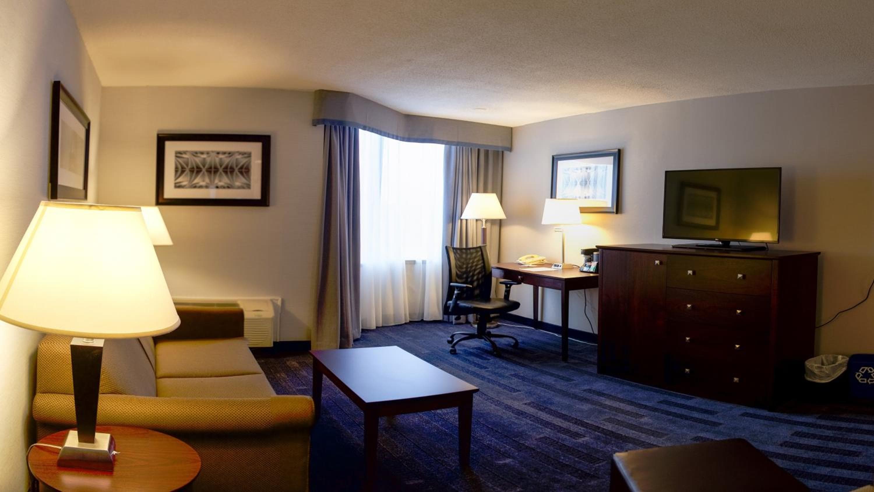 One-Bedroom Suite with Sofa Bed
