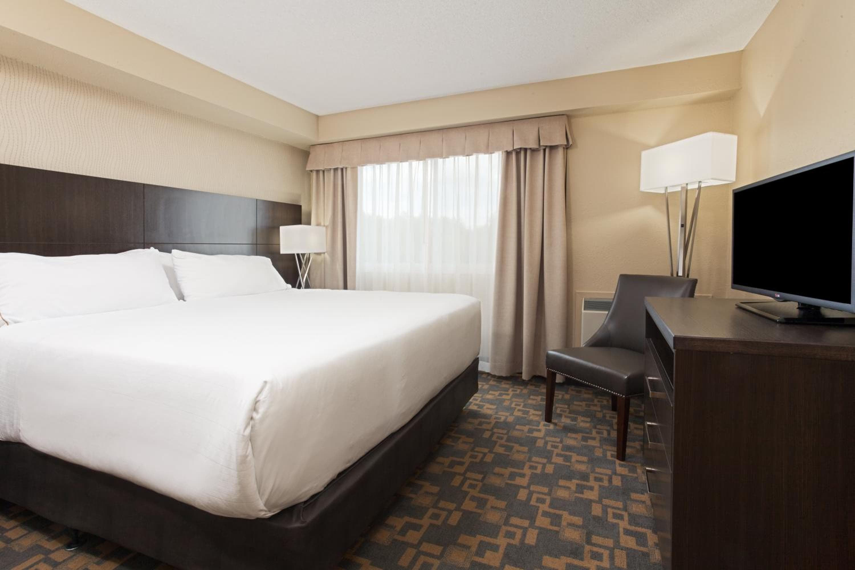 King Suite with Sofa Bed