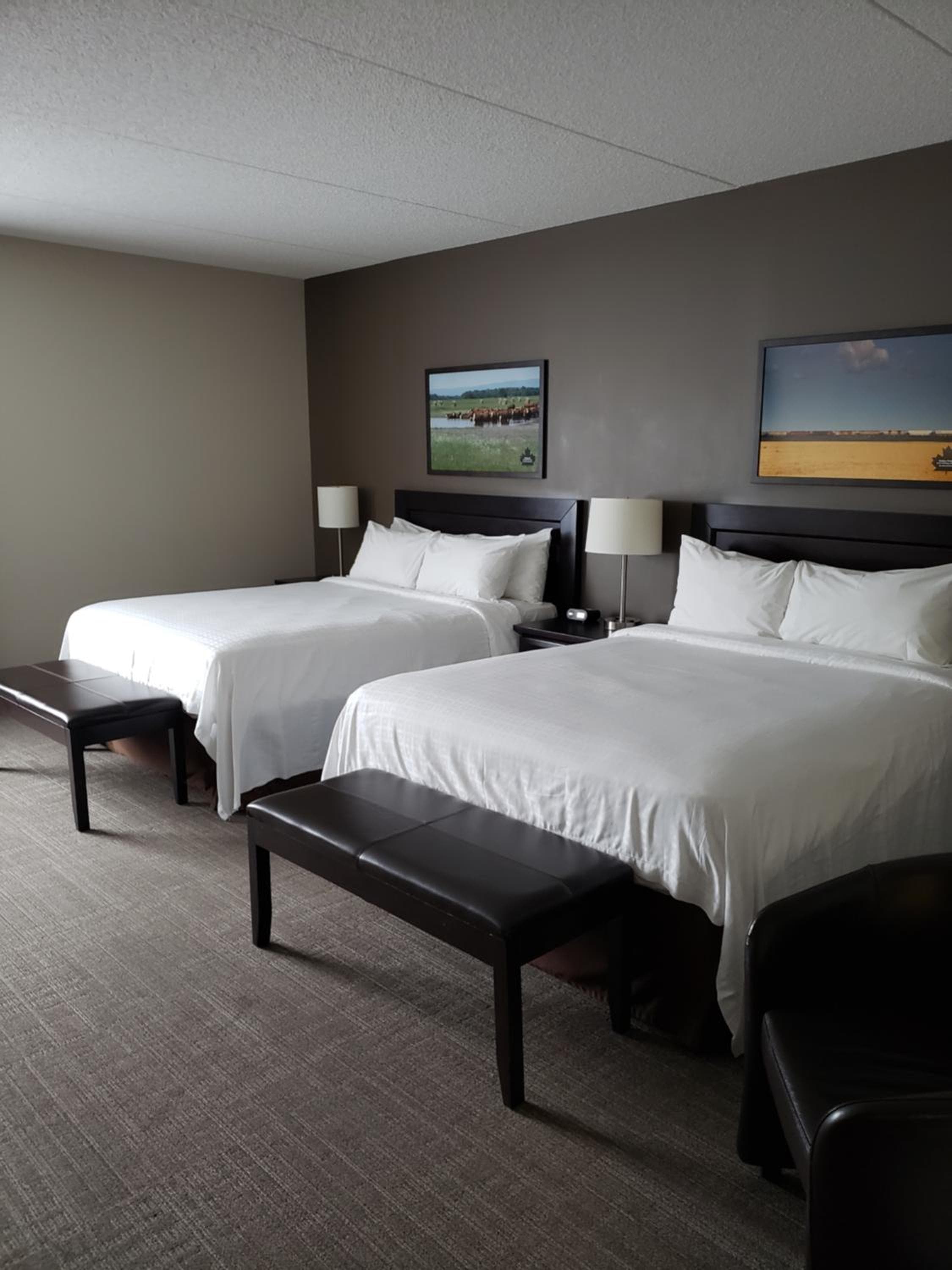 Deluxe Queen Room