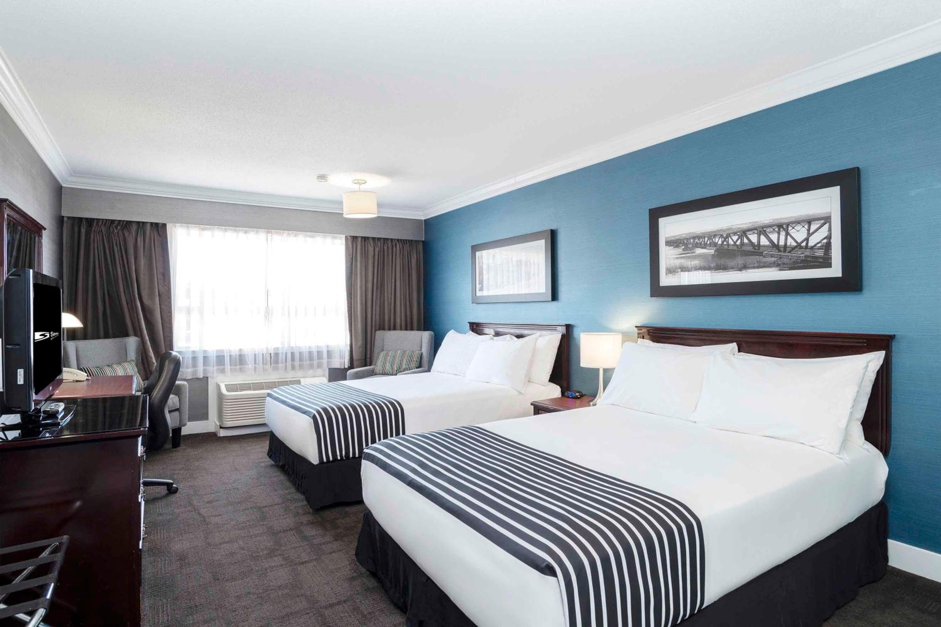 Studio Suite, 2 Double Beds, Kitchen