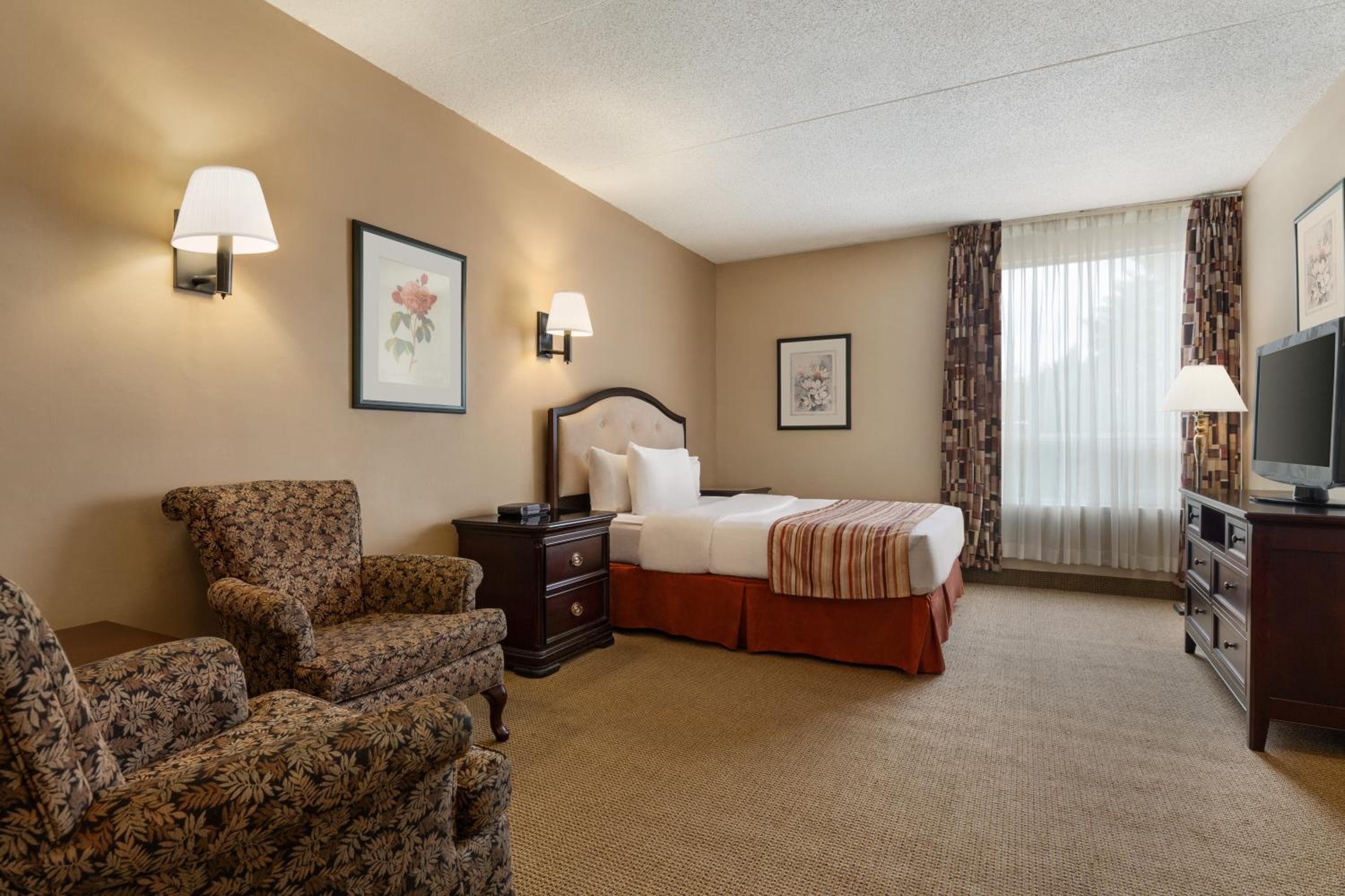 Queen Room - Pet Friendly/Non-Smoking