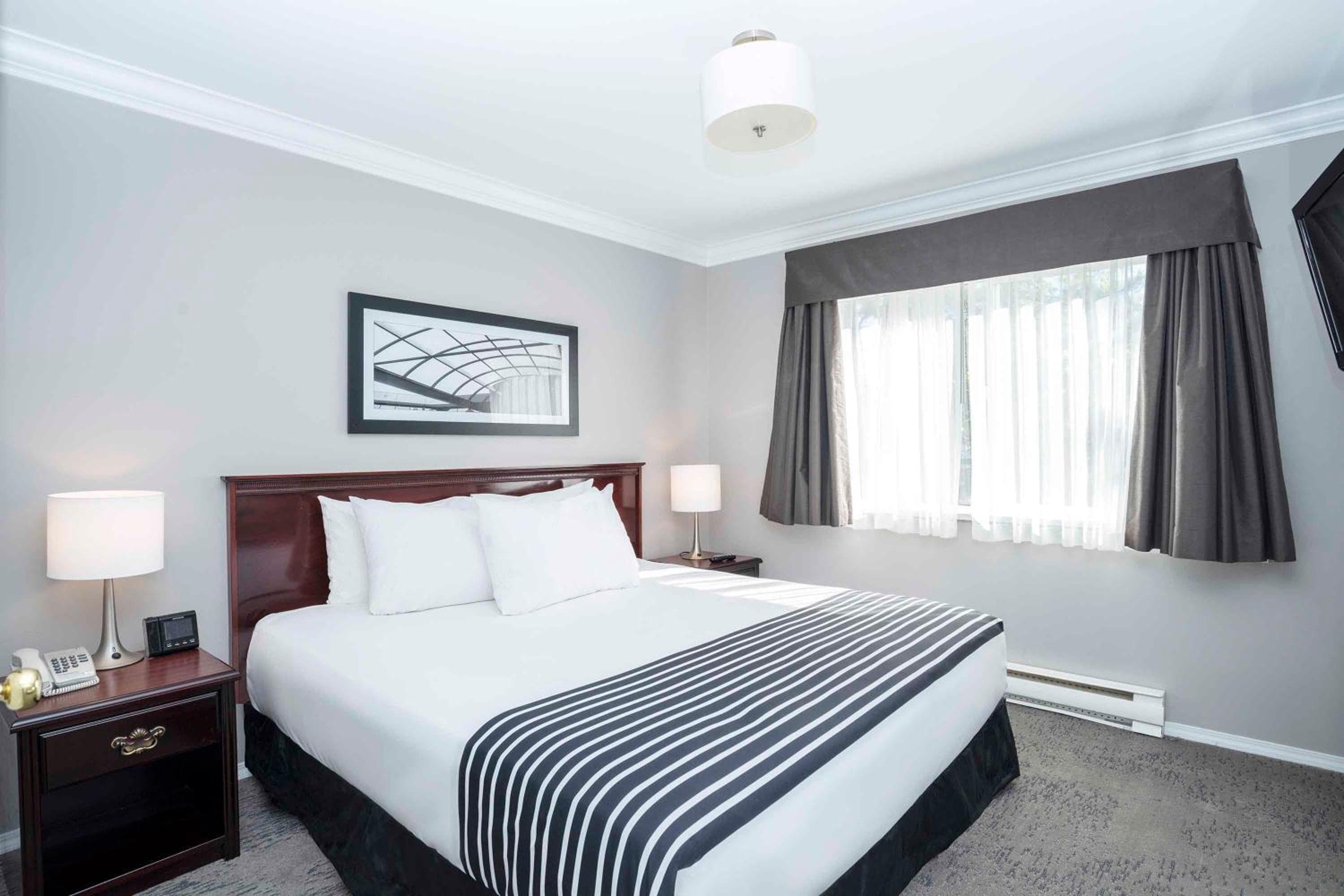 Standard Suite, 1 King Bed, Sofa Bed, Kitchen