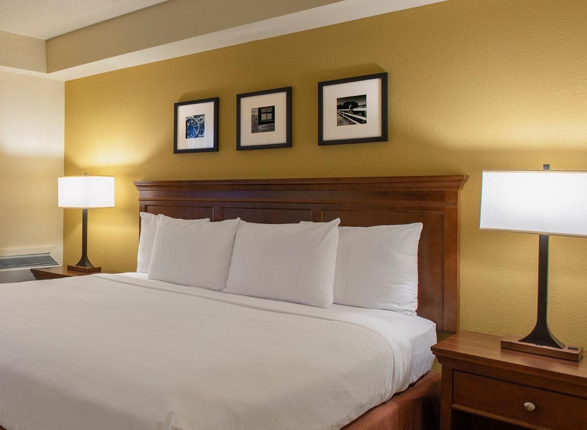One-Bedroom King Suite - Non-Smoking