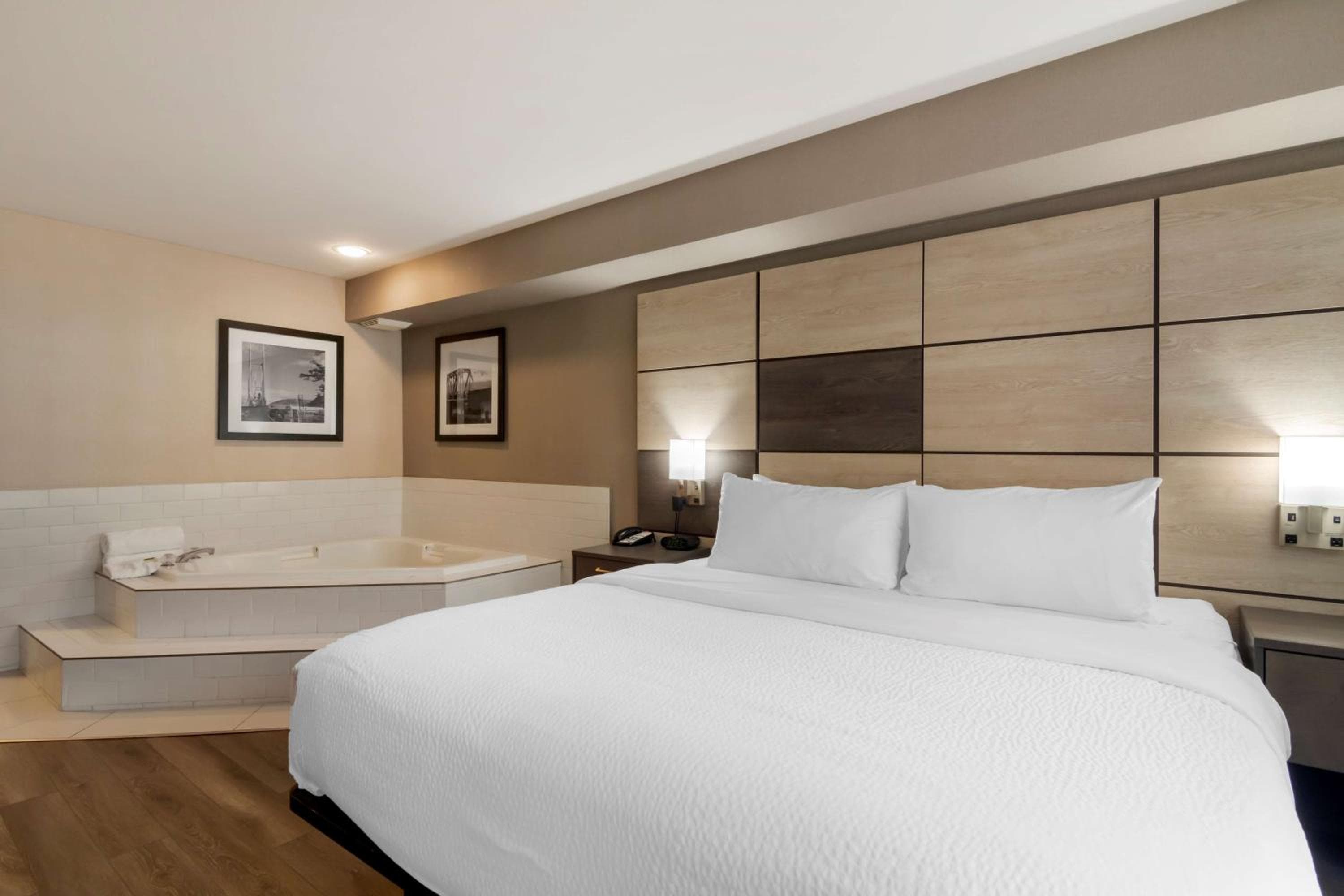 Queen Suite