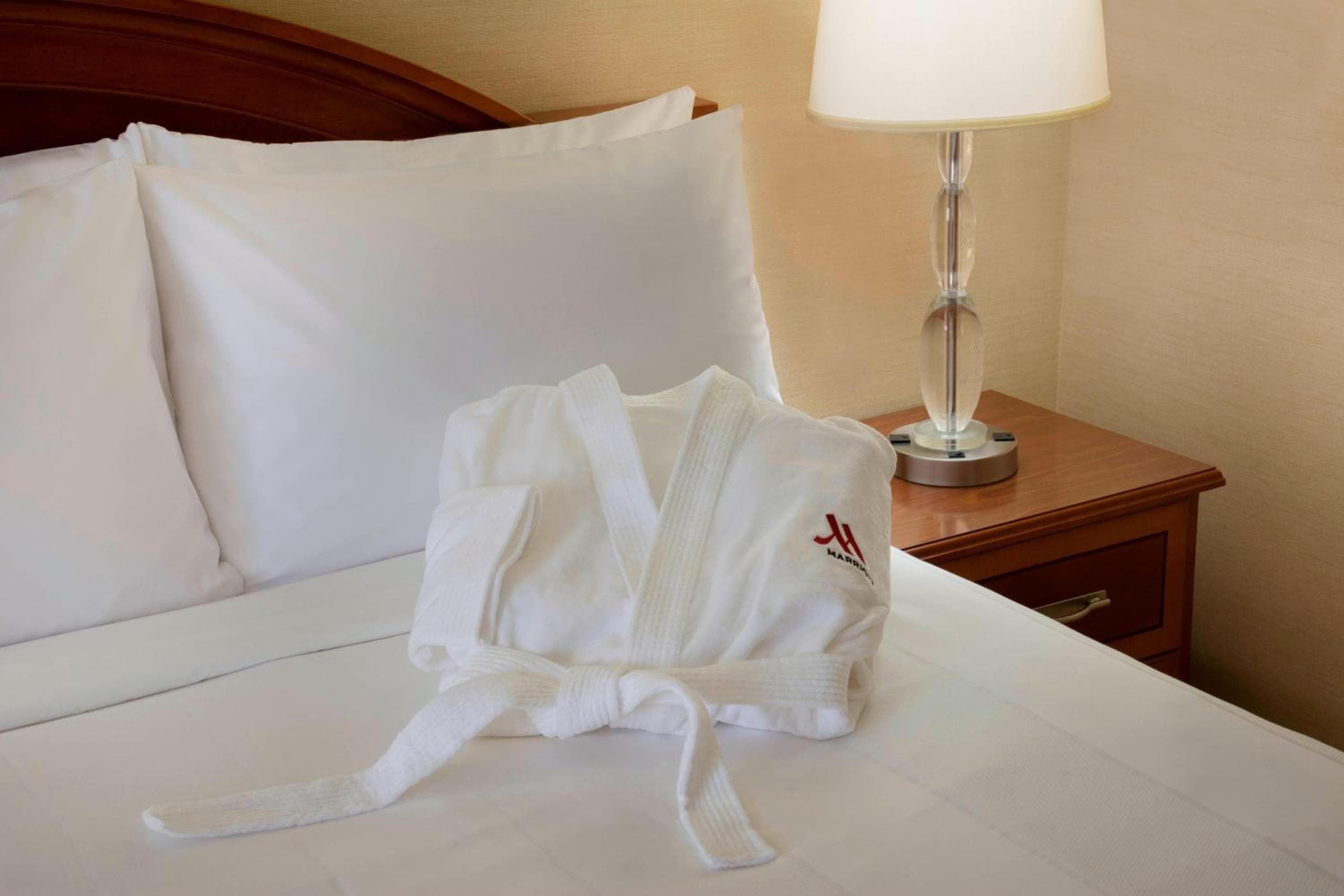 Hospitality Queen Suite with Sofa Bed