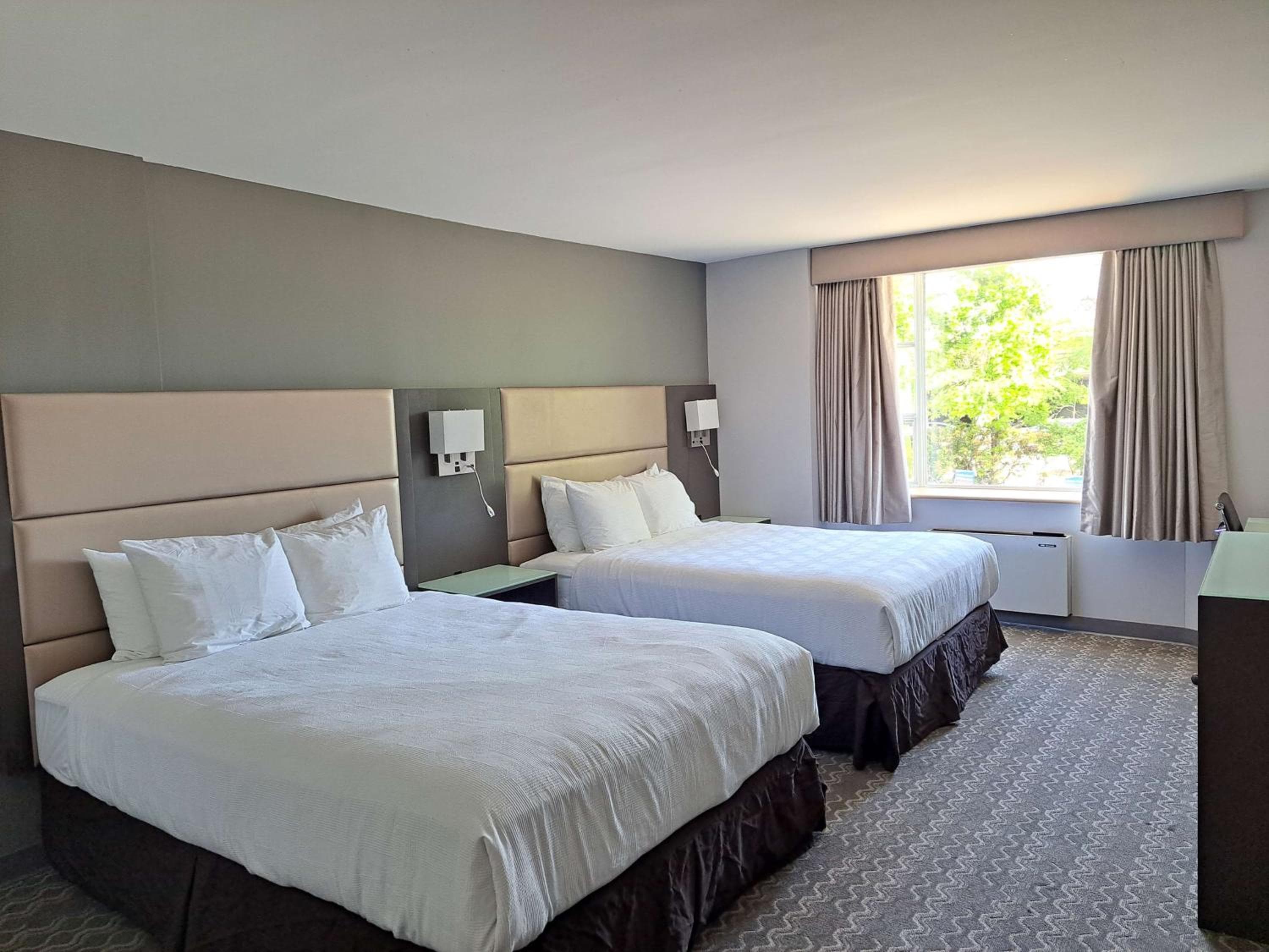 Executive Queen Room with Two Queen Beds - Non-Smoking