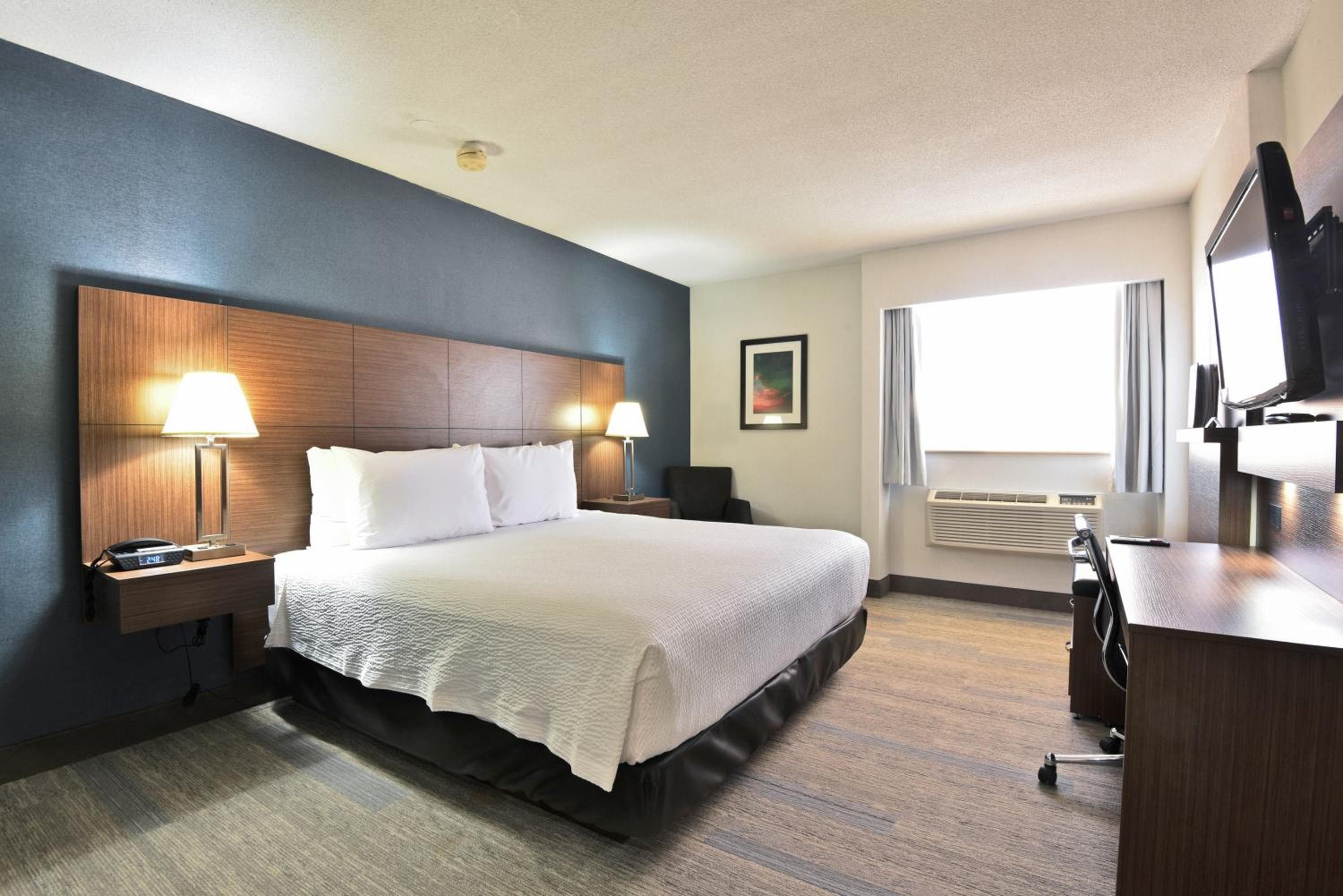 Corporate Floor - Business King Room