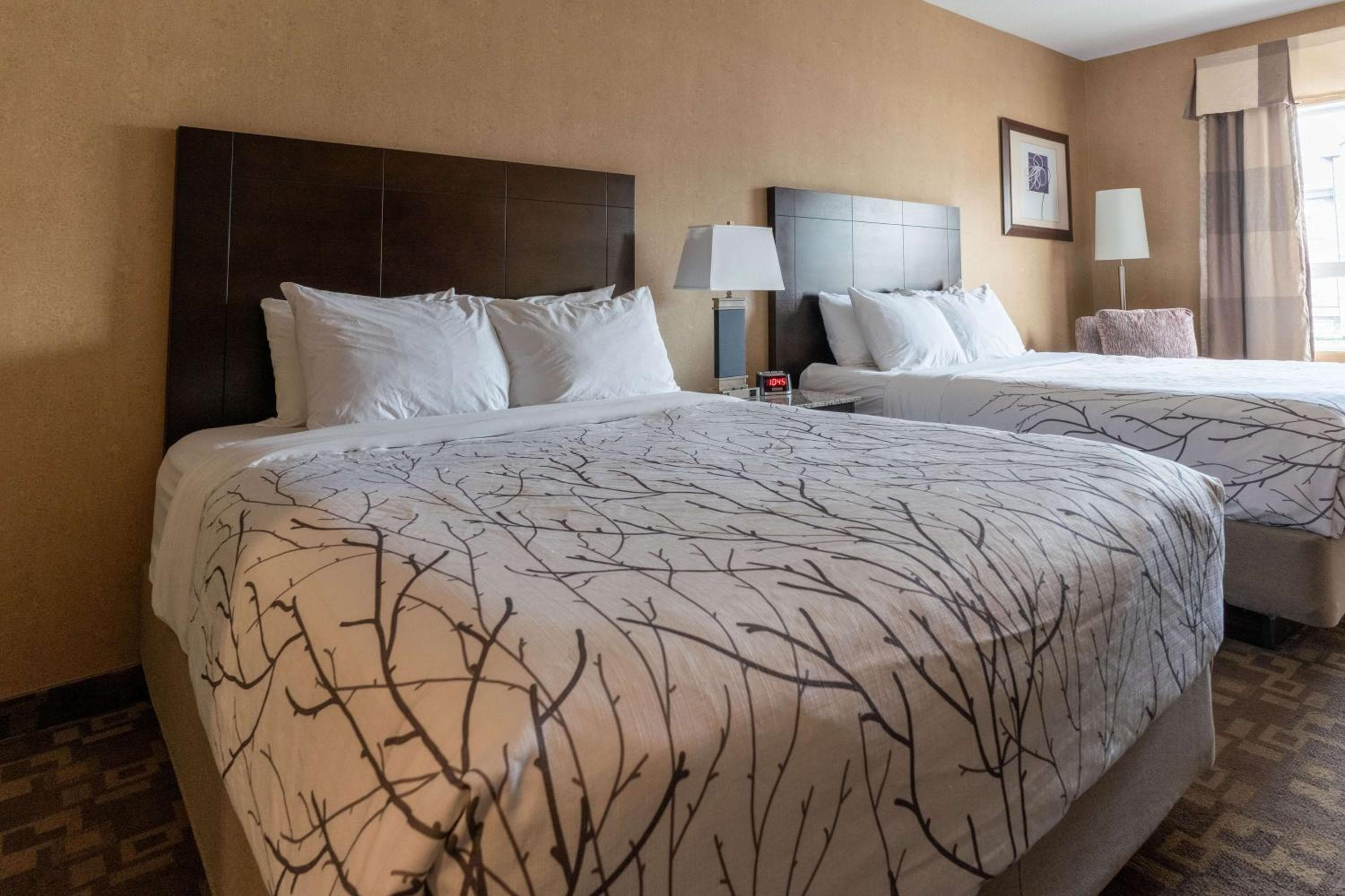 Queen Room with Two Queen Beds - Non-Smoking