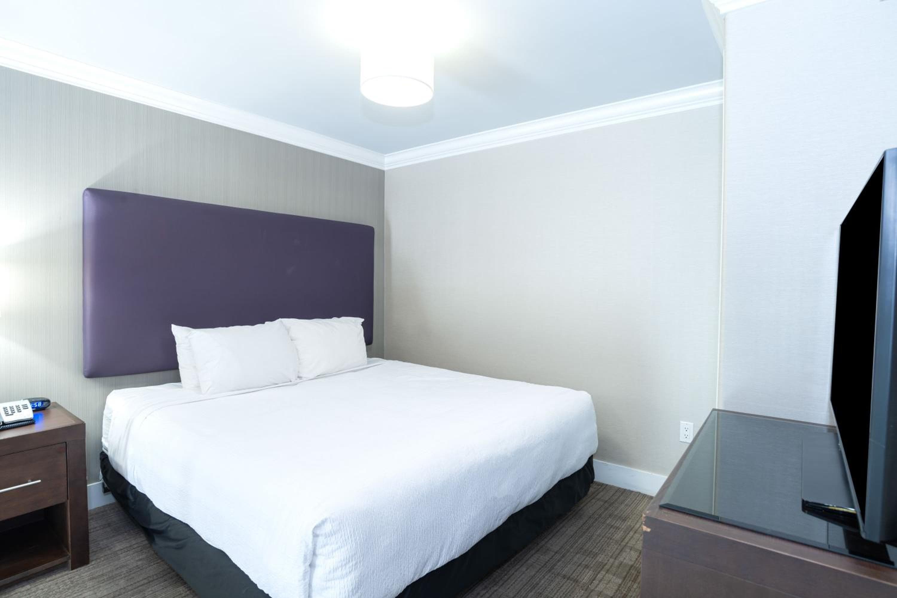 Loft Suite, 1 King Bed, Sofa Bed, Kitchen