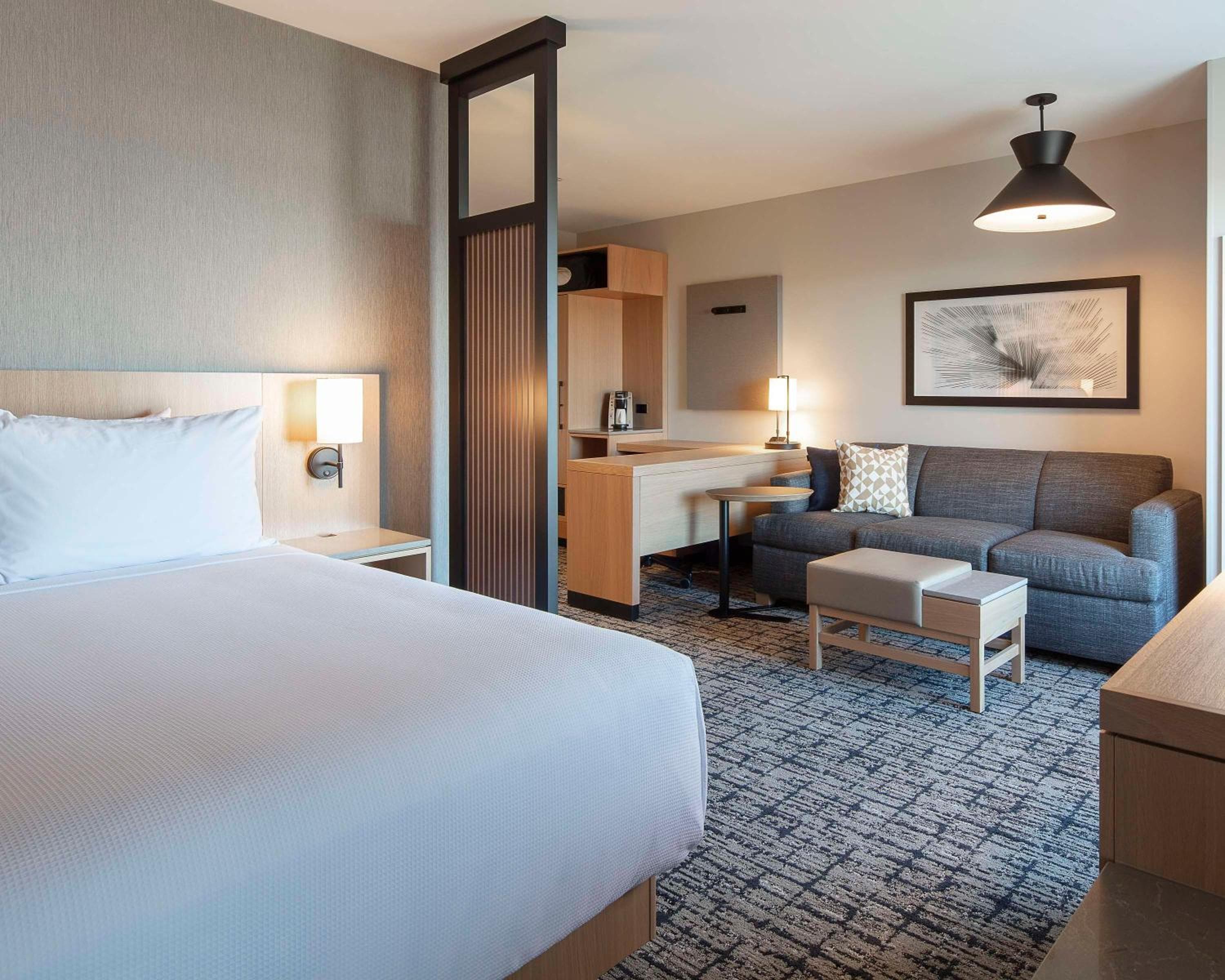 Specialty King Room with Sofa Bed