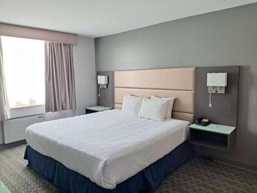 Executive King Room - Non-Smoking