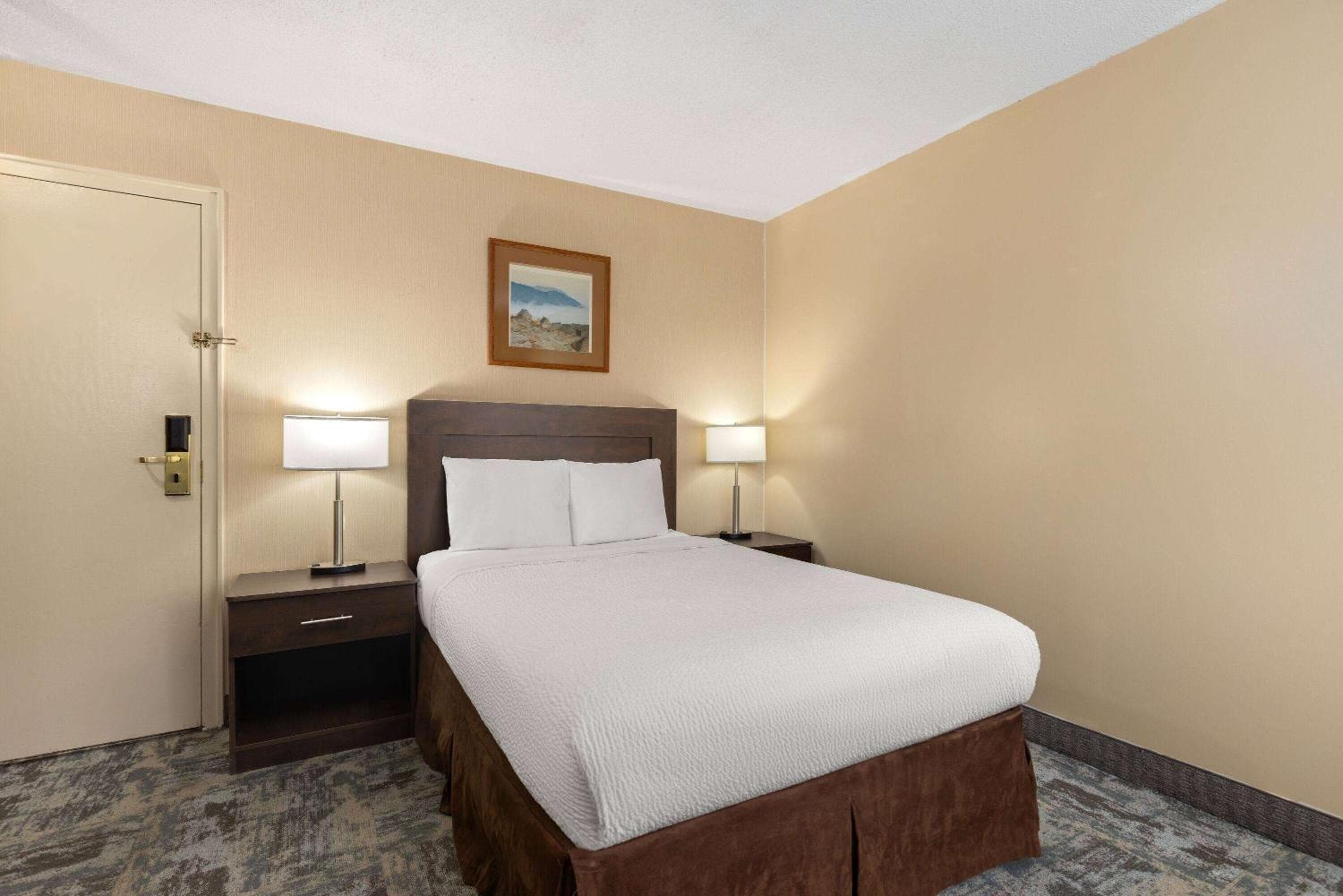 Standard Double Room - Non-Smoking