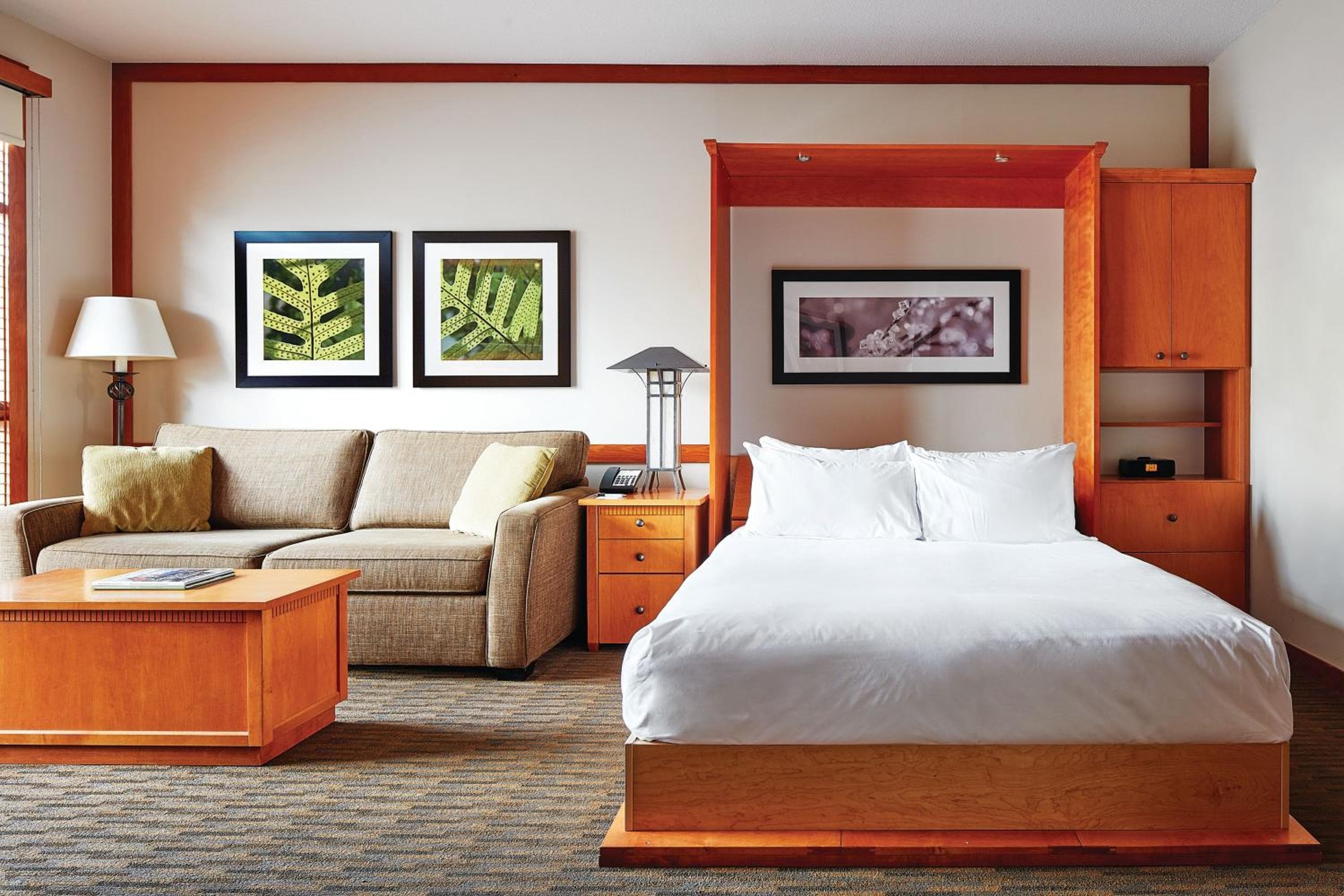 Studio Lower Floor Suite