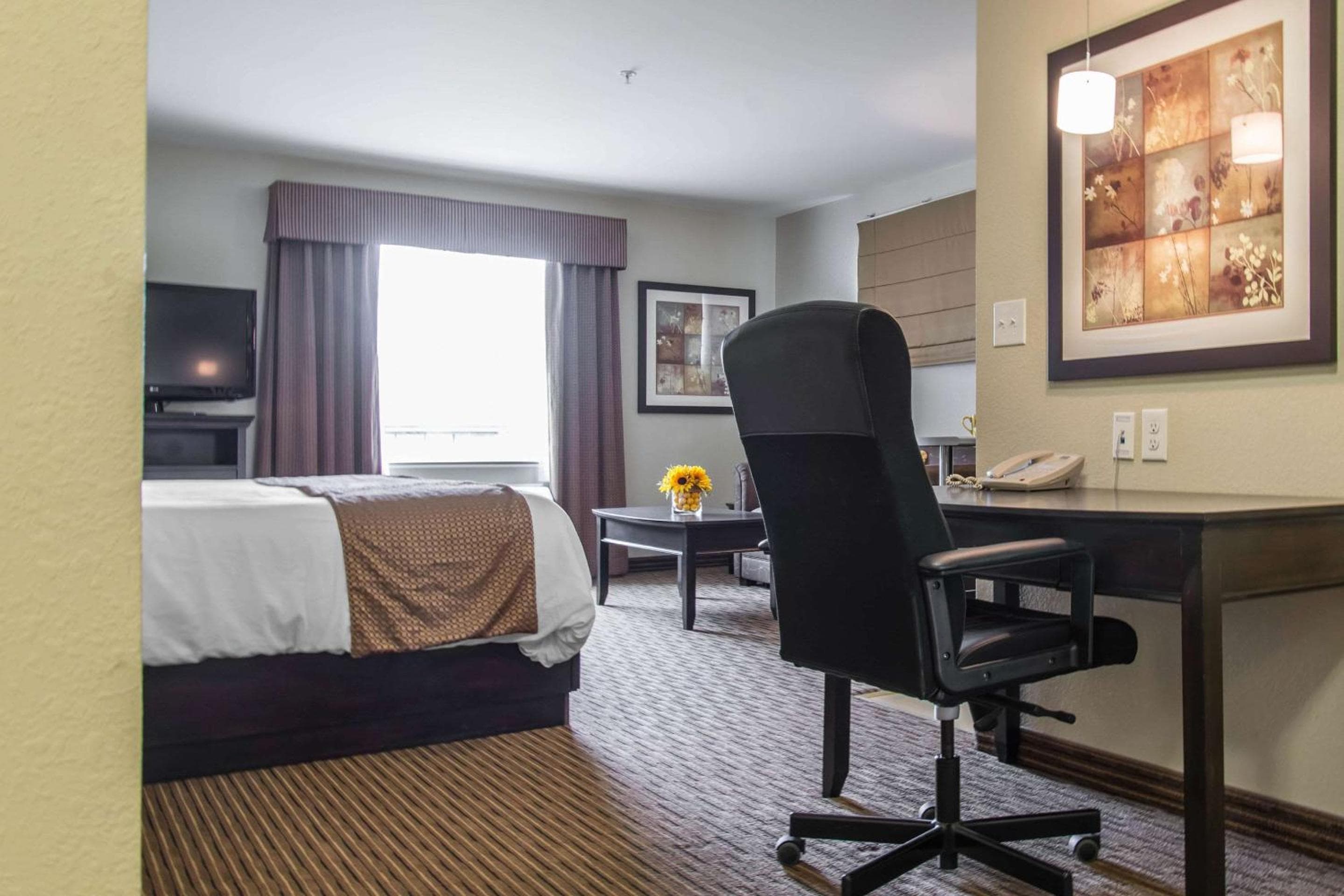 Queen Suite