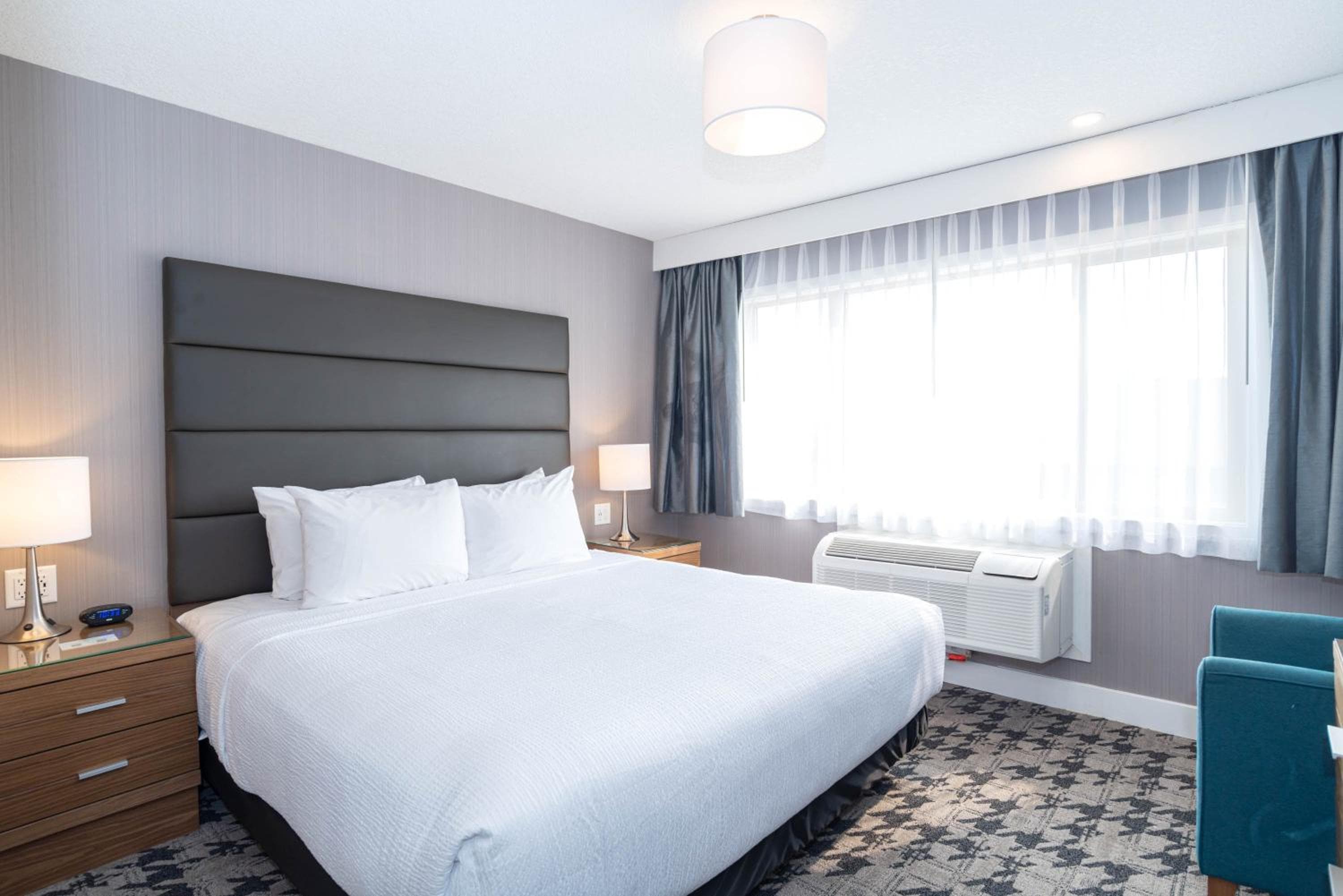 Standard Suite, 1 King Bed, Sofa Bed, Kitchenette