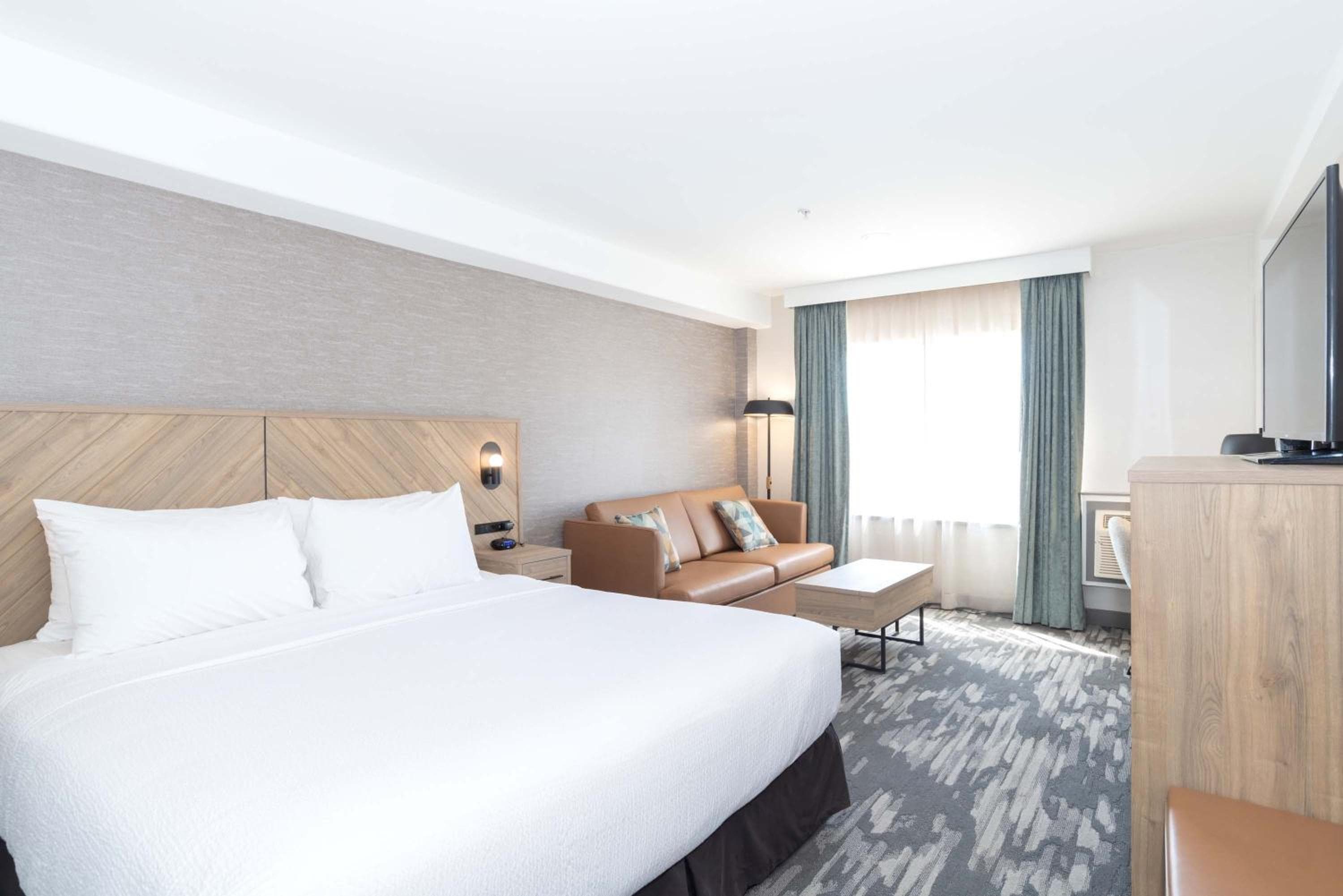 Standard Room, 1 King Bed, Sofa Bed