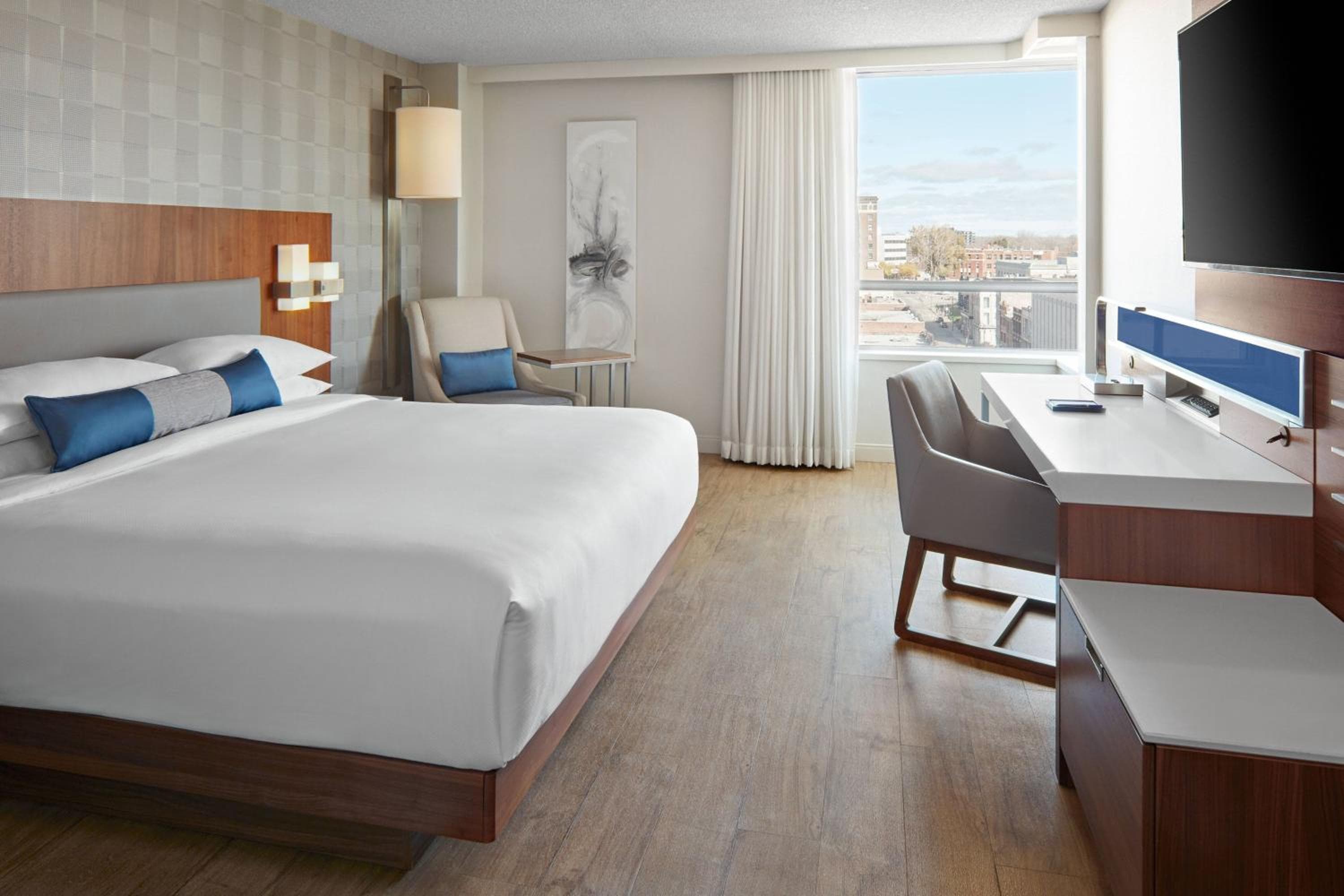 1 King Bed, Guest Room