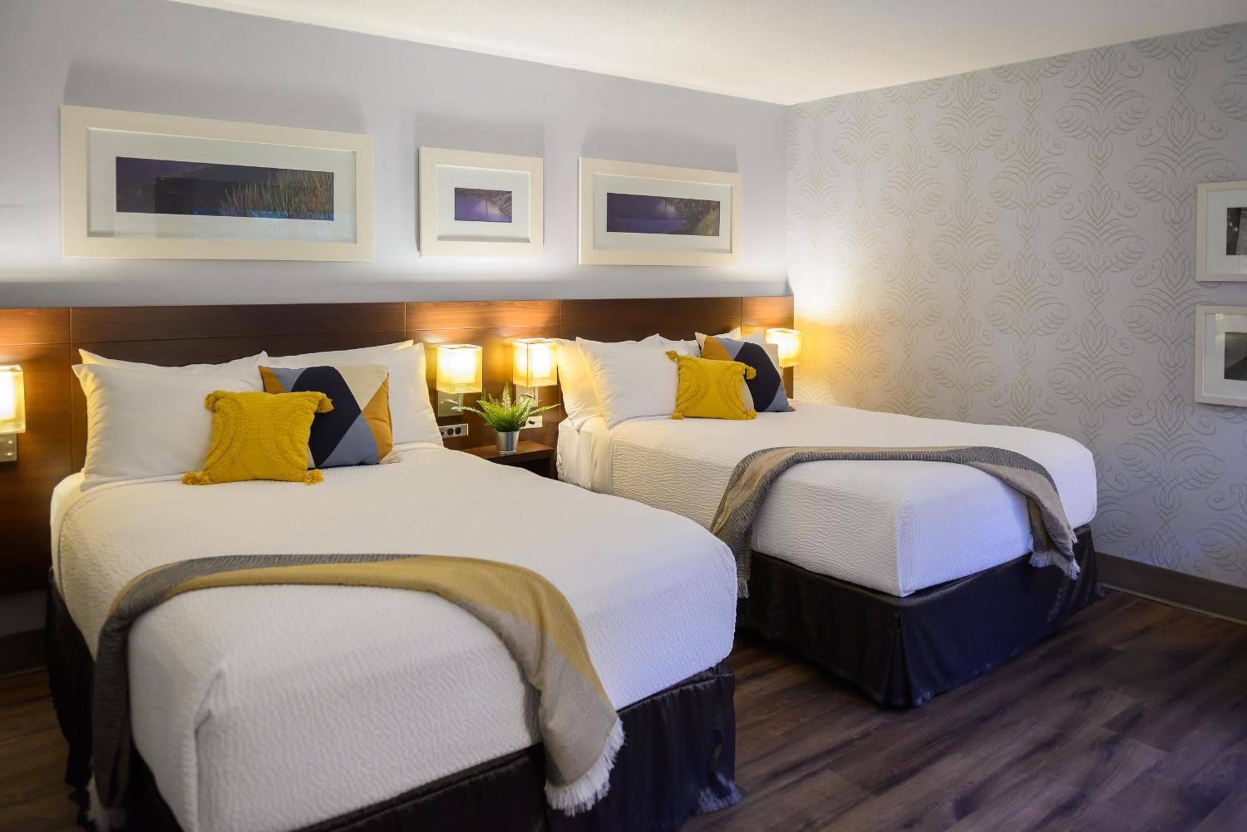 Double Room with Two Double Beds