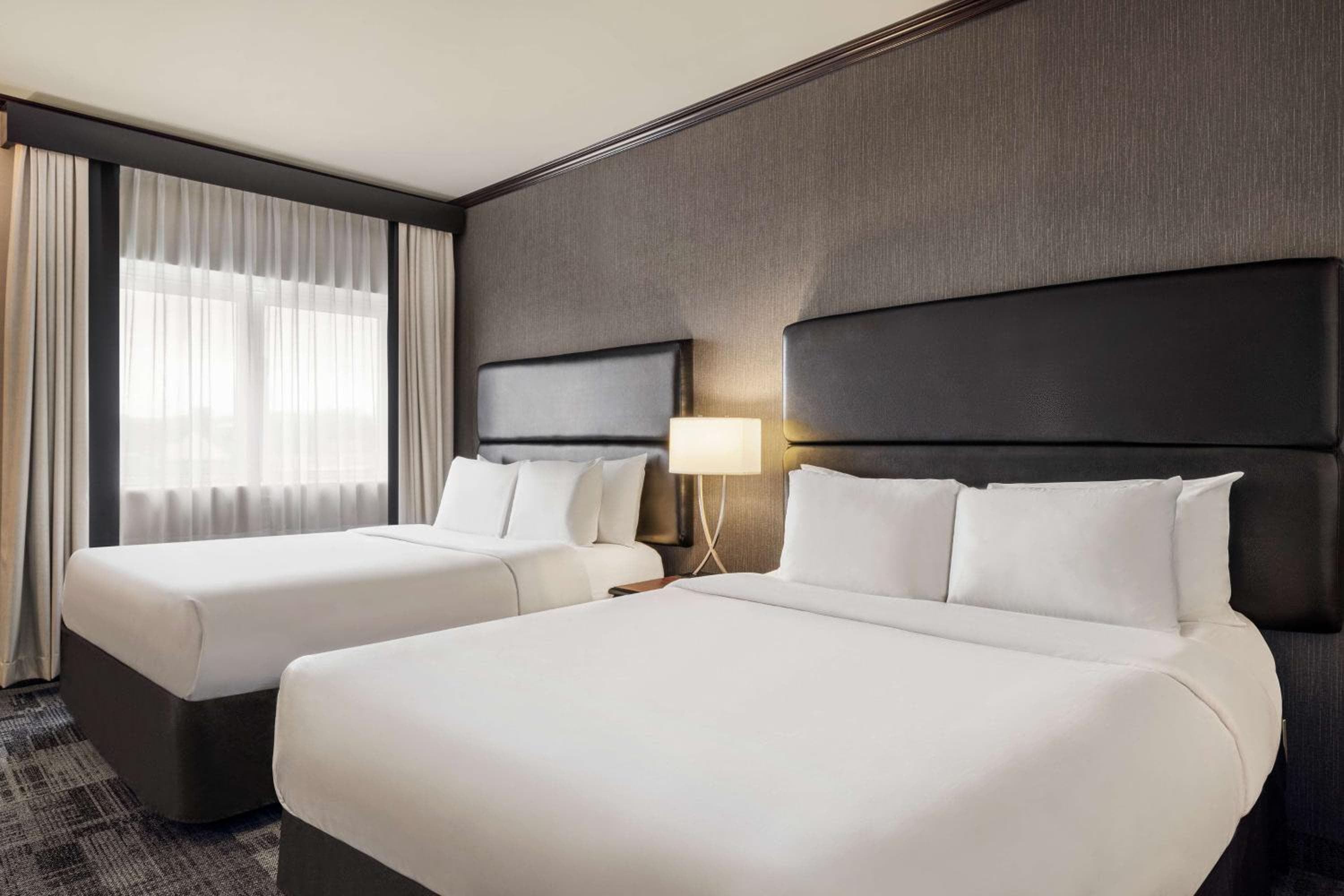 Business Queen Room with Two Queen Beds