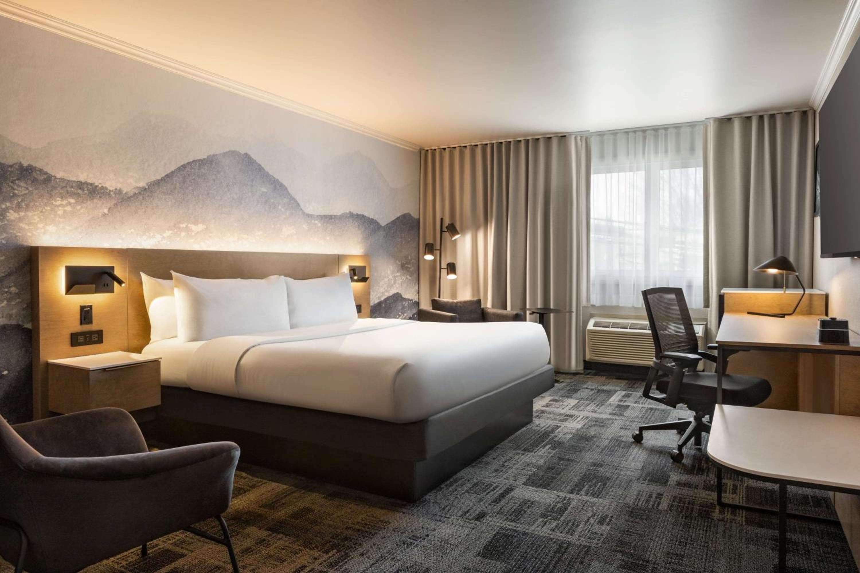 Executive King Room - Non-Smoking