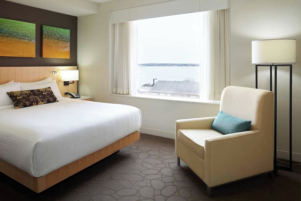 Room, 1 Queen Bed