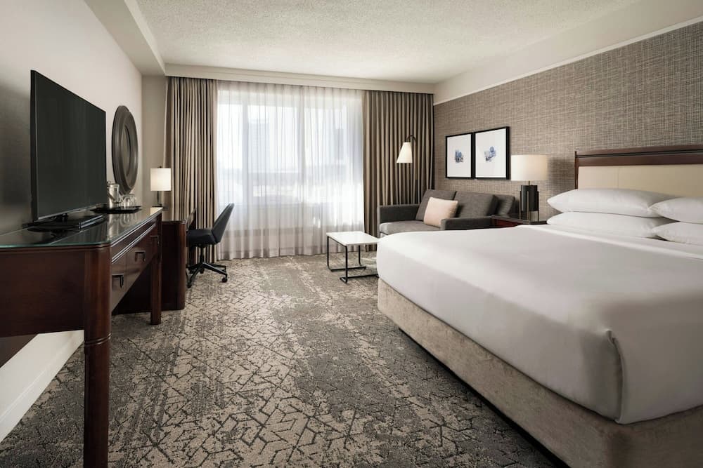 Room, 1 King Bed with Sofa bed