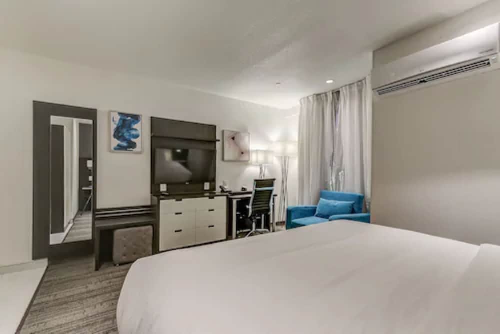 Suite, 1 King Bed with Sofa bed