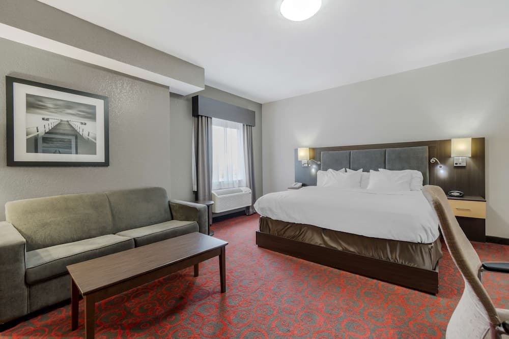 Standard Room, 1 King Bed, Non Smoking (with Sofabed)