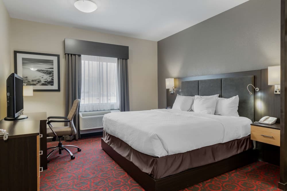 Standard Room, 1 Queen Bed, Accessible, Non Smoking (with Sofabed)