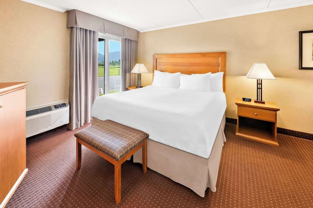 Suite, 1 King Bed, Non Smoking, Refrigerator & Microwave (with Sofabed)