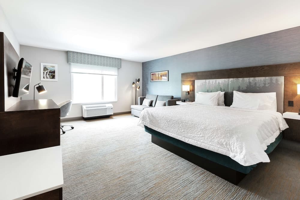 Room, 1 King Bed with Sofa bed, Refrigerator