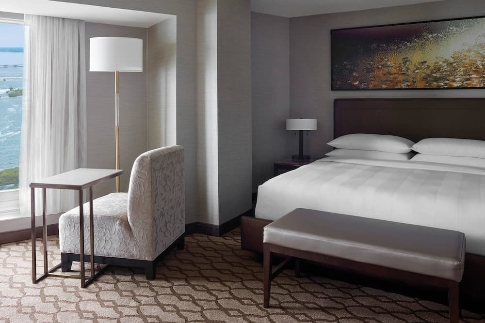 Room, 1 King Bed, City View