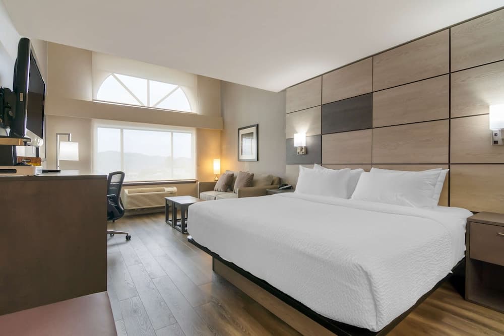 Standard Room, 1 King Bed, Refrigerator & Microwave, Mountain View (with Sofabed)