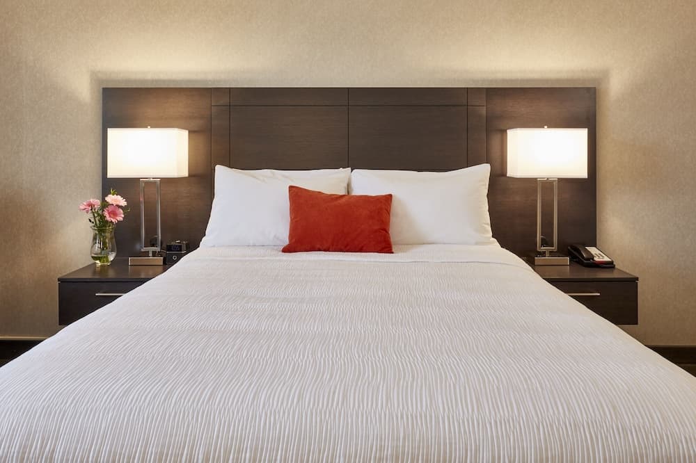 Room, 1 Queen Bed