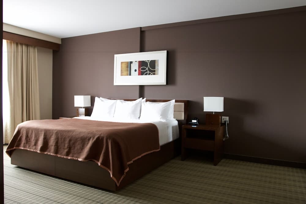Suite, 1 Bedroom