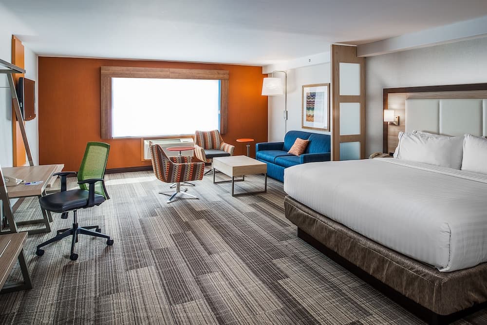 Suite, 1 King Bed with Sofa bed