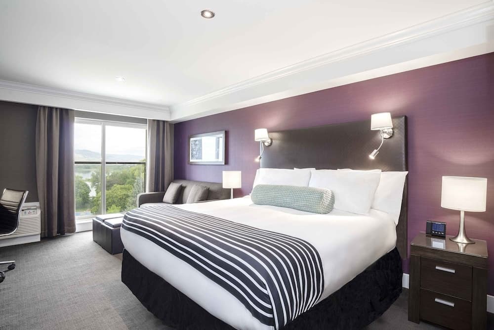 Grand Room, 1 King Bed with Sofa bed, Park View