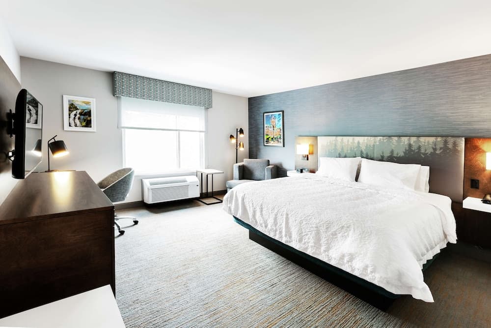 Room, 1 King Bed, Refrigerator