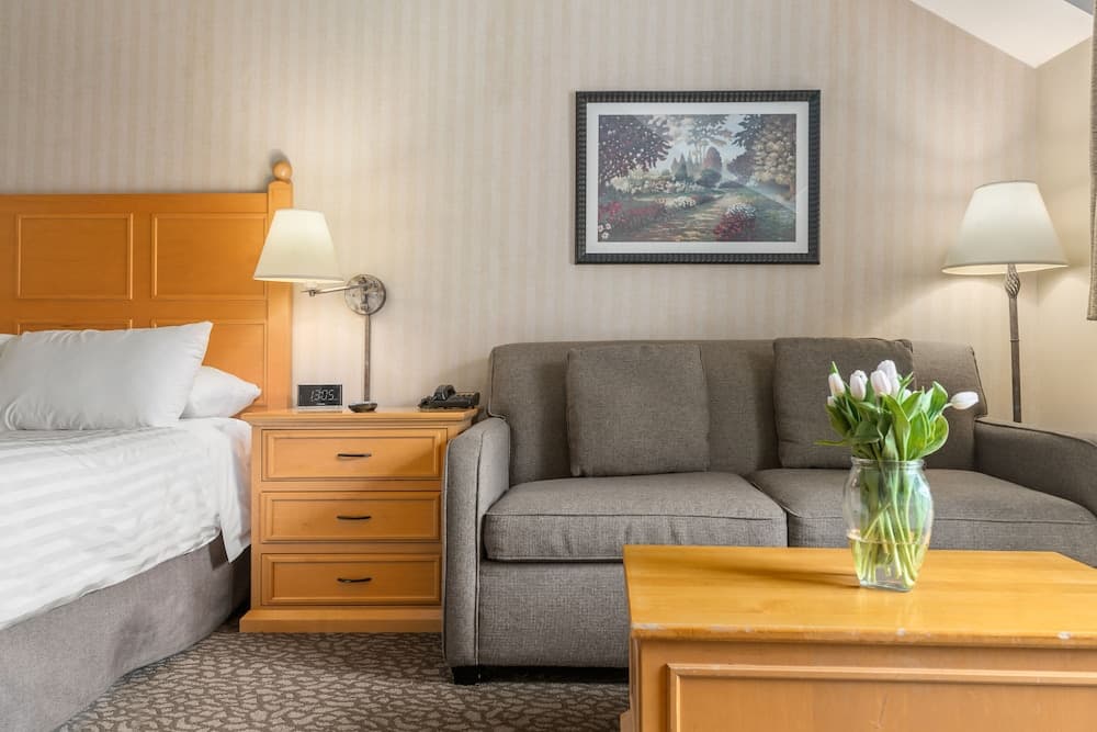 Deluxe Studio Suite, 1 Queen Bed with Sofa bed, Kitchenette