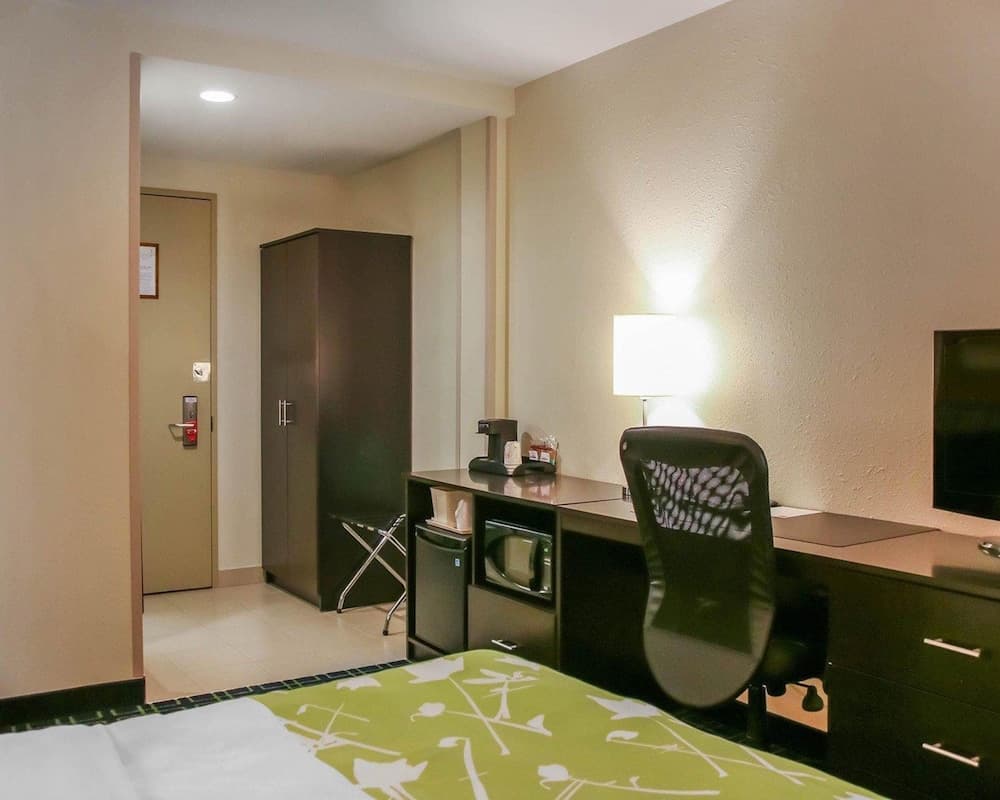 Standard Room, 1 King Bed with Sofa bed, Non Smoking (1 Person Sofa Bed)