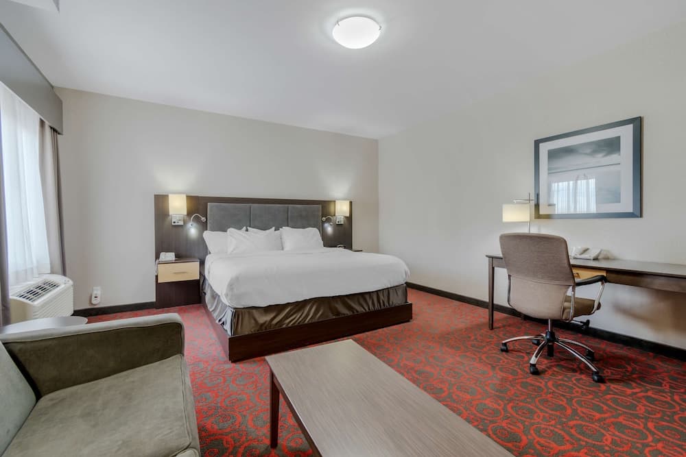 Standard Room, 1 King Bed, Non Smoking