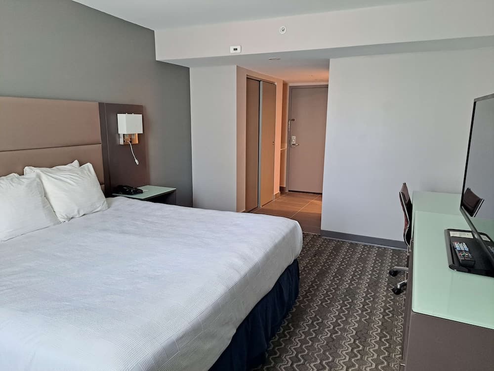 Executive Room, 1 King Bed, Non Smoking (Shower Only)