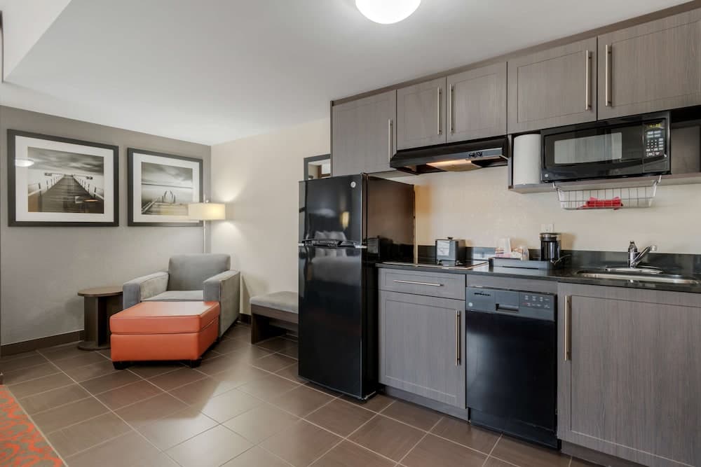 Suite, 1 King Bed, Non Smoking, Kitchenette (with Sofabed)