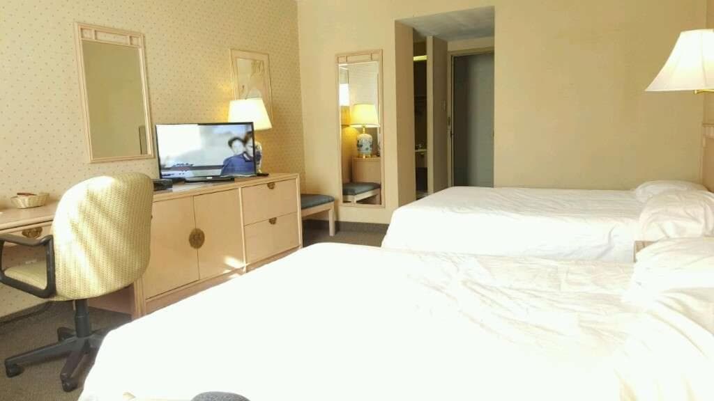Standard Double Room with Two Double Beds