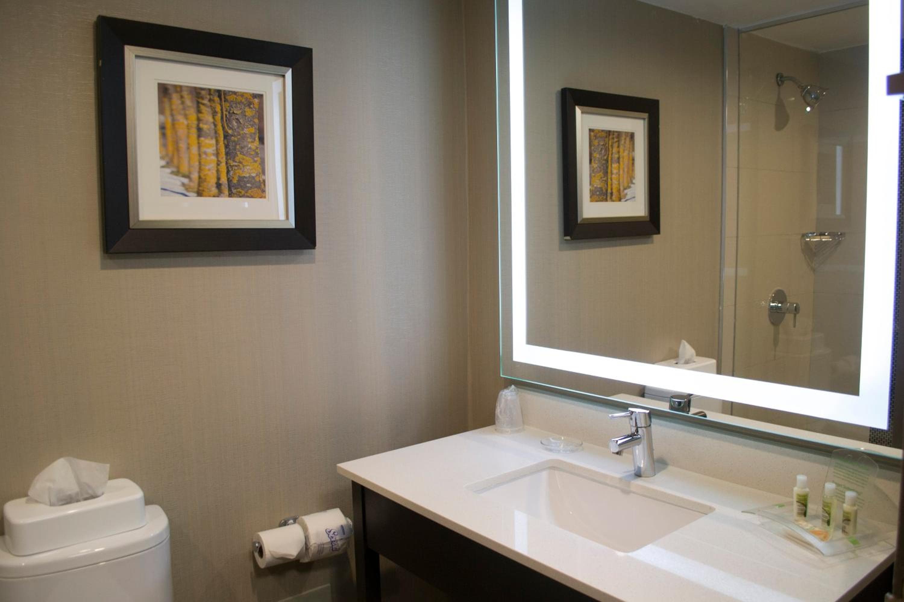 King Room with Mobility Accessible Roll-In Shower
