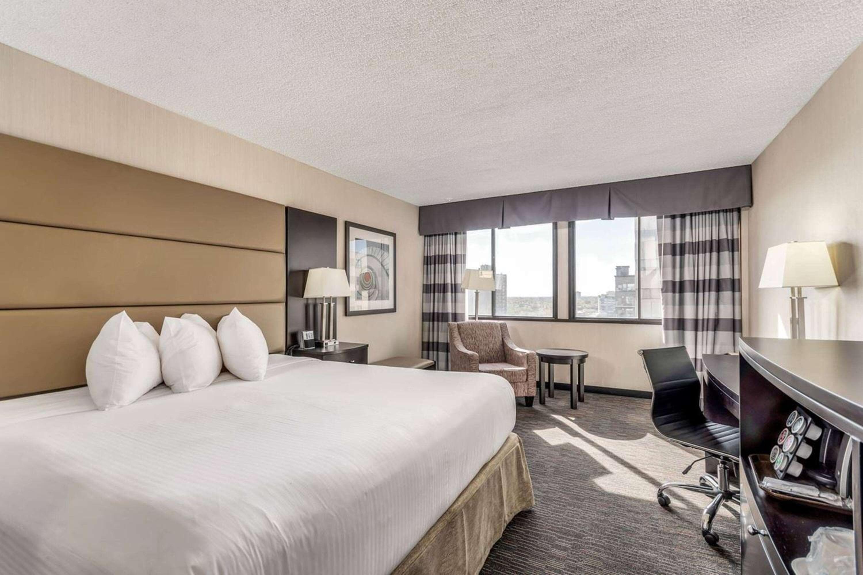 Business King Room