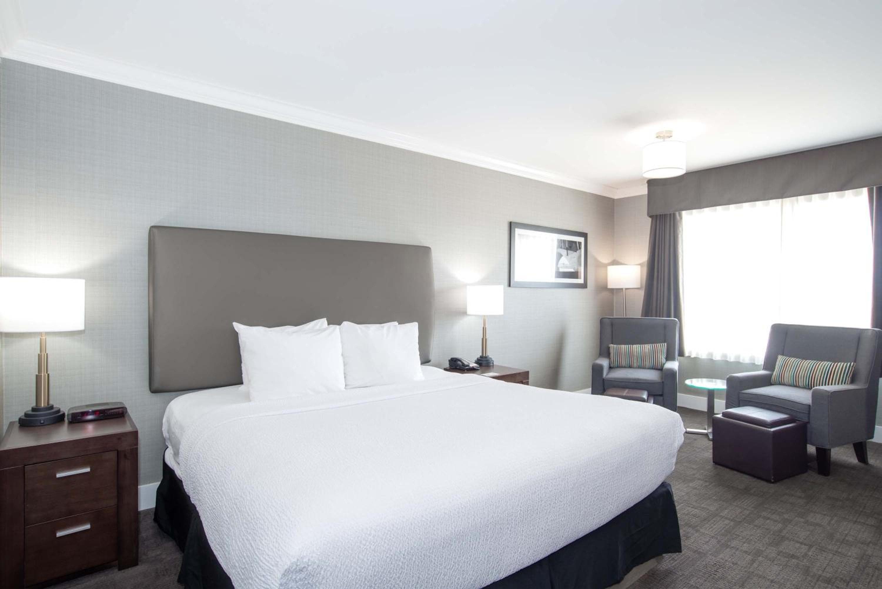 Standard Room, 1 King Bed, Sofa Bed