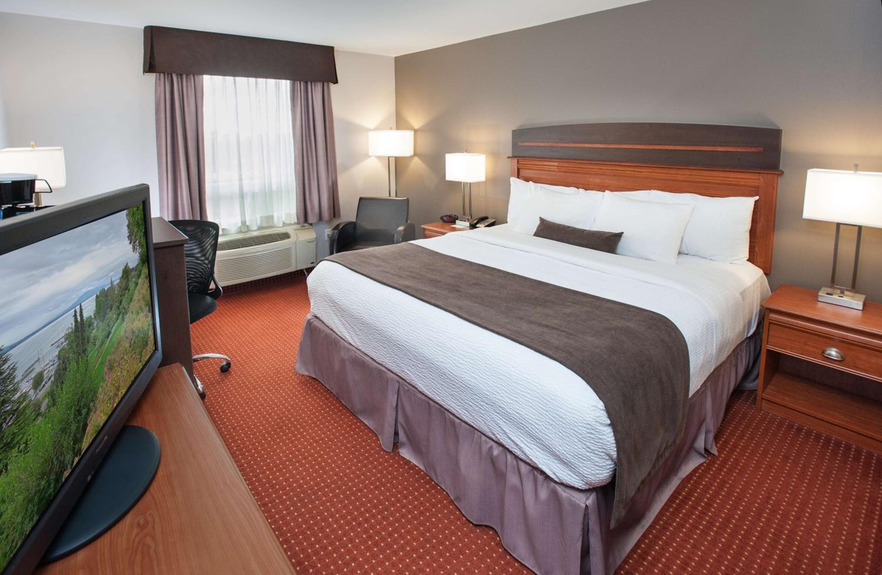Double Room with Roll-in Shower and Sofa Bed - Disability Access/Non-Smoking