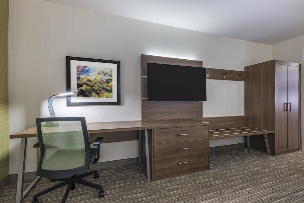 Suite, 1 King Bed with Sofa bed